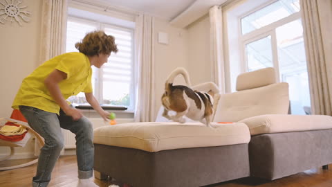Boy Playing With His Dog