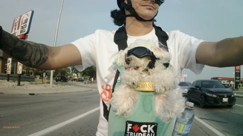 Dog (Crosby) Rides a Motorcycle