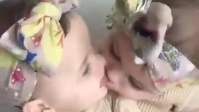 Cute baby kiss