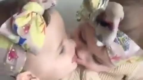 Cute baby kiss