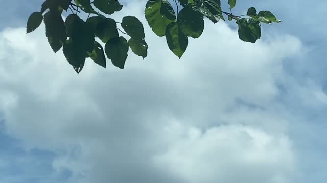 The days are a bit depressing, but fortunately it's windy when I run