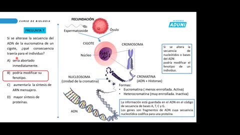 REPASO INTENSIVO ADUNI 2021 | Seminario | Biología | Aritmética