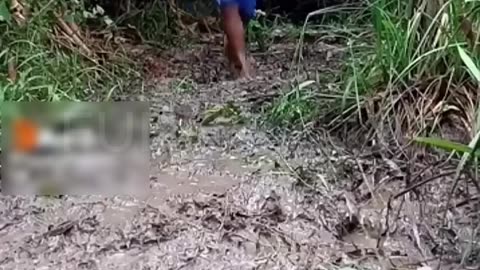 Epic Funny Fails 2024 part 8 funnyvideos funny shorts fail compilation