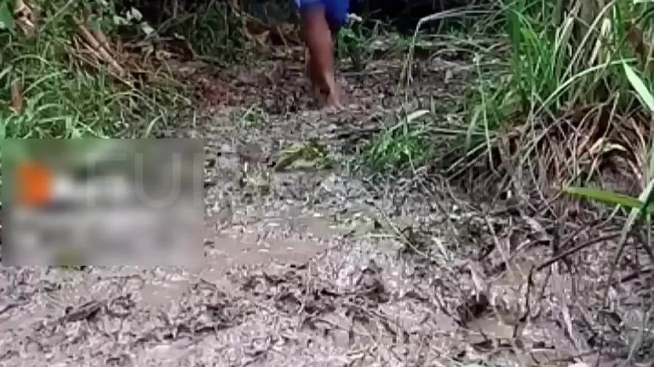 Epic Funny Fails 2024 part 8 funnyvideos funny shorts fail compilation