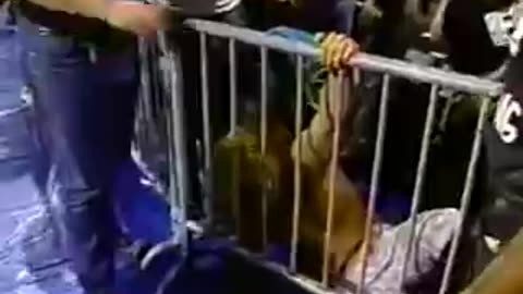 16 Chris Jericho VS Cactus Jack