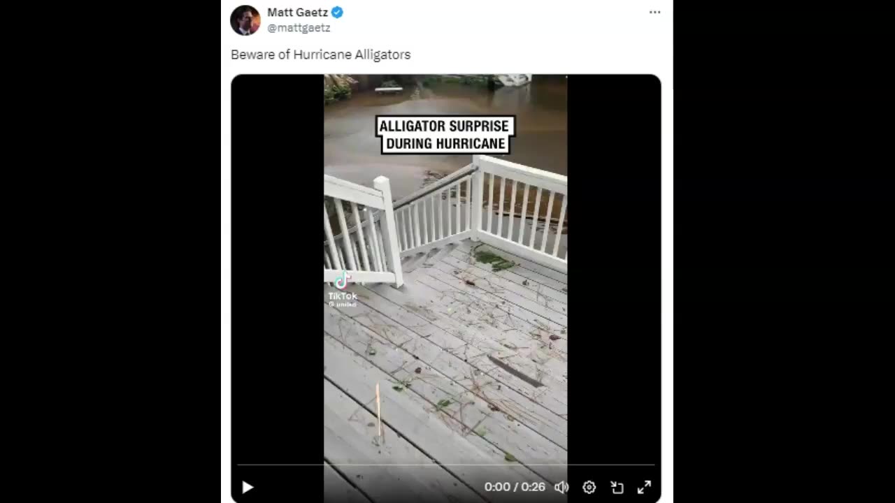 Congressman Matt Gaetz - Beware Of Hurricane Alligators! (Video)!