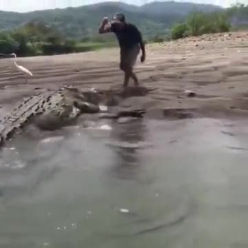 man with crocodile