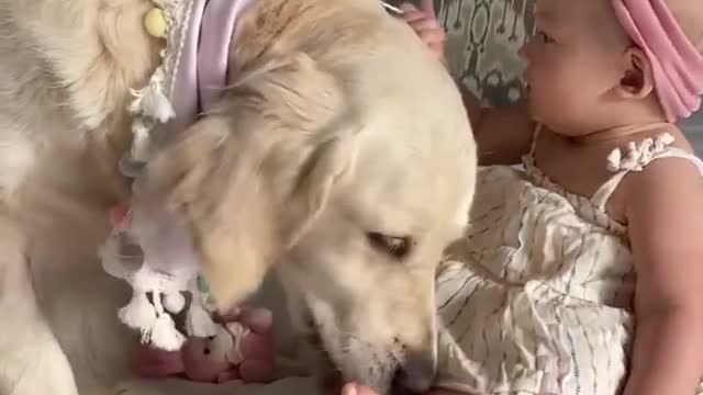 Dog's love for kids😍