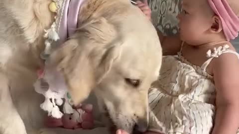 Dog's love for kids😍