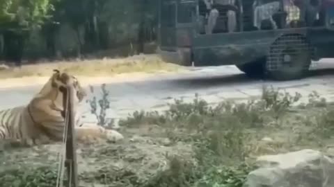 Imagine Being On That Bus #shorts #shortvideo #video #virals #videoviral