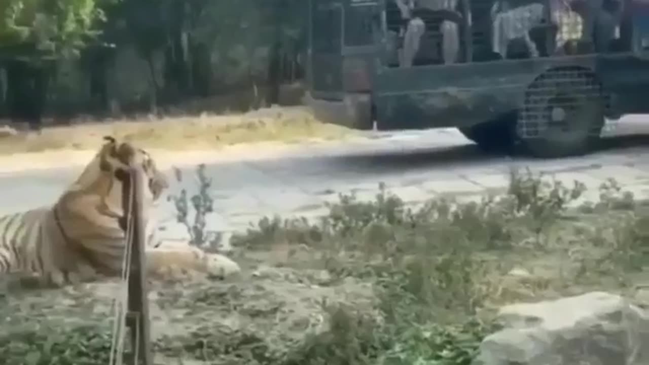 Imagine Being On That Bus #shorts #shortvideo #video #virals #videoviral