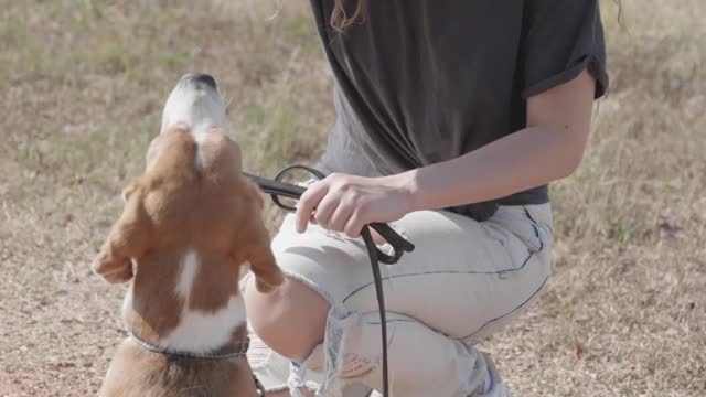 A Woman Training Her Dog