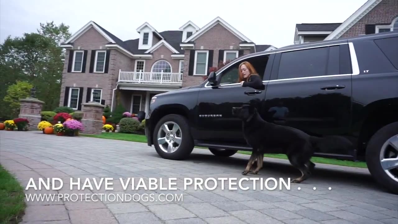 True Security The Peace of Mind Provided by CPI Protection Dogs