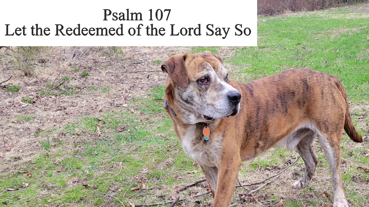 Psalm 107 - ESV Audio