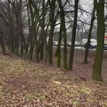 02.03.2022. Demilitarization and denazification of Ukraine!!!