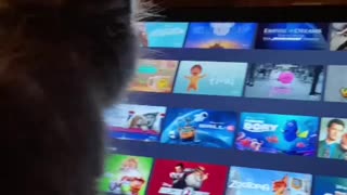 Luna watching Mandalorian