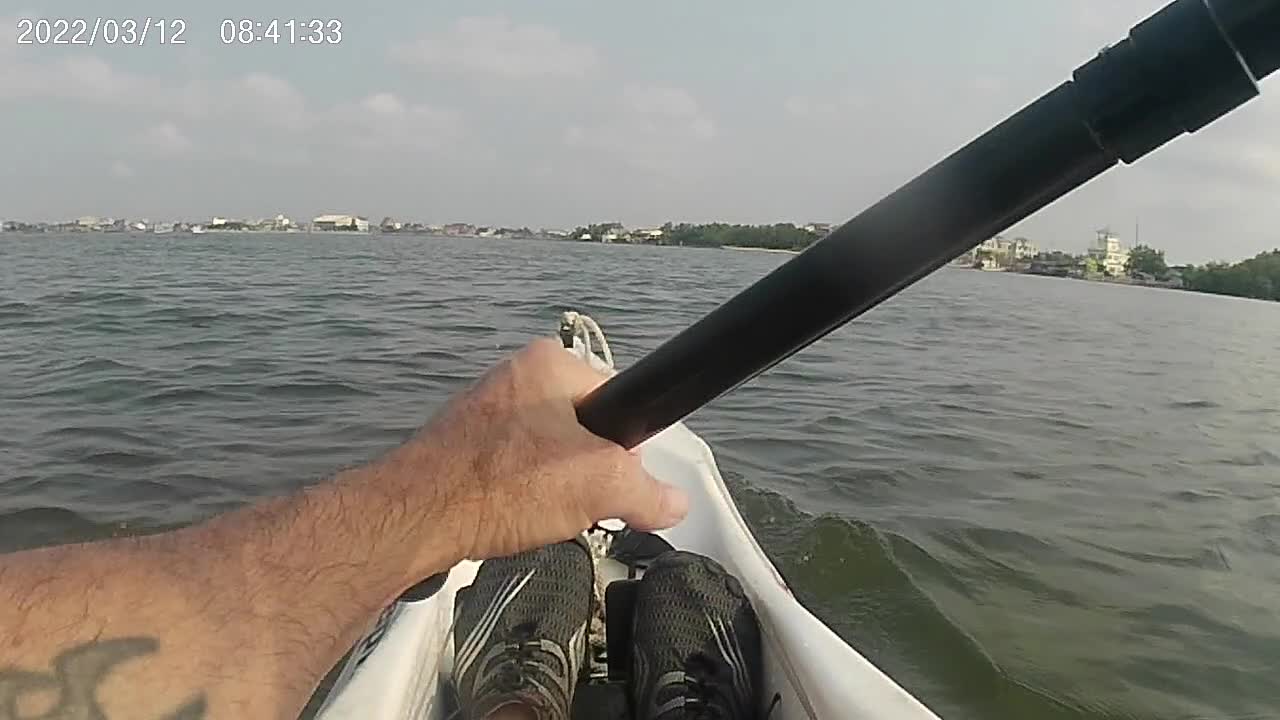 Todd talks about dogs, boats, docks, and whimbrels.