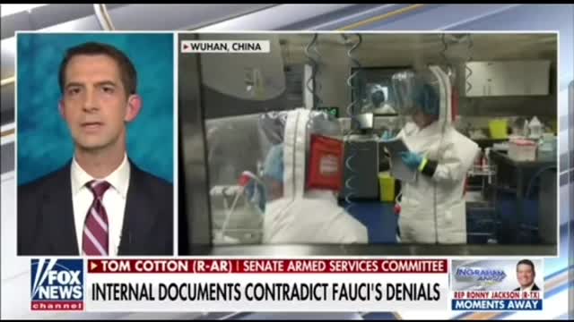 Fauci To Be Prosecuted