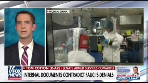 Fauci To Be Prosecuted