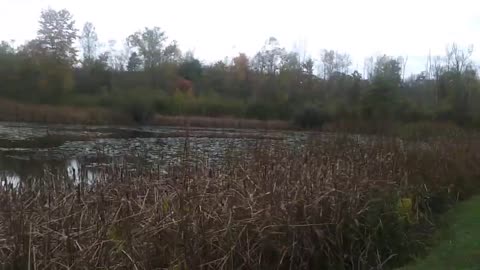 Meadowedge Pond Cuyahoga Valley National Park