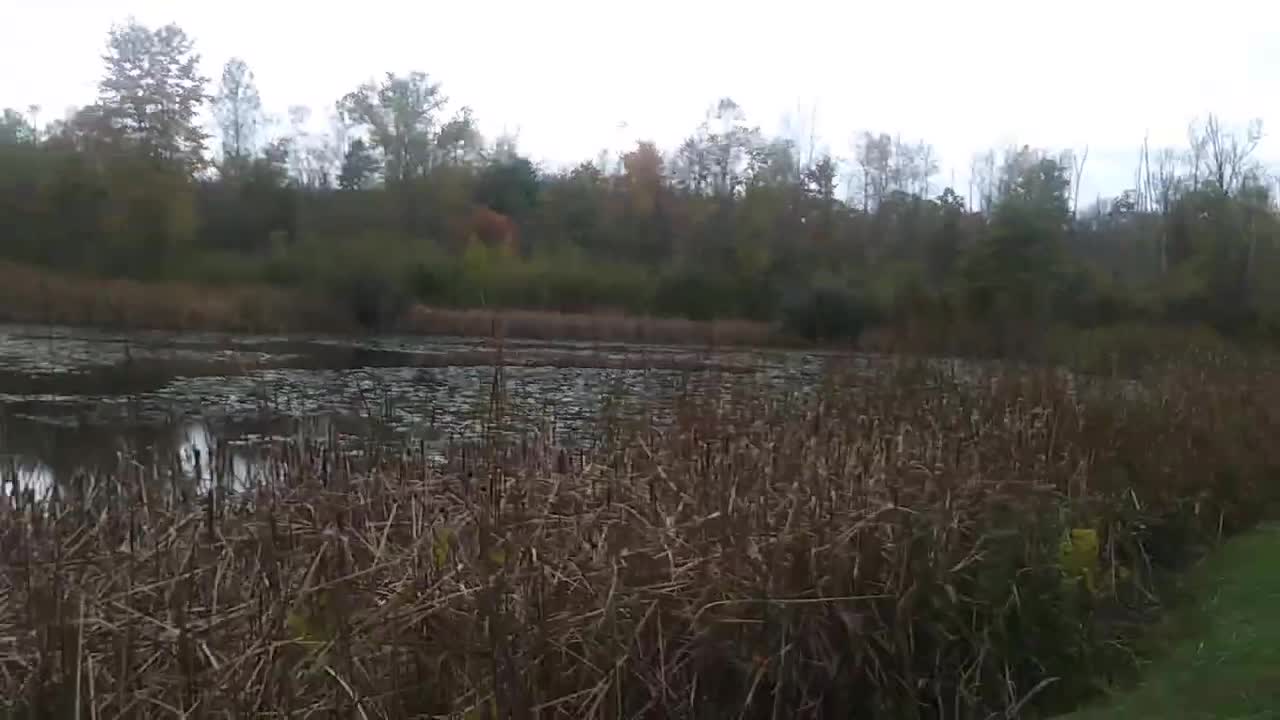 Meadowedge Pond Cuyahoga Valley National Park