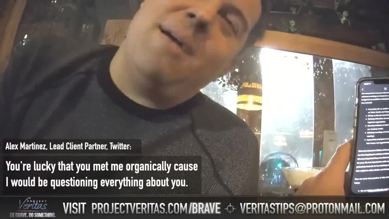 twitter politics project veritas..