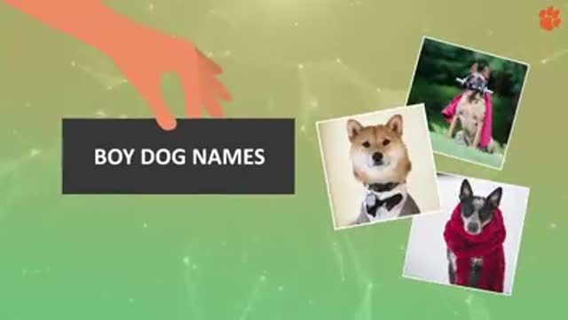 Best Dog names for you . unique names#dogname