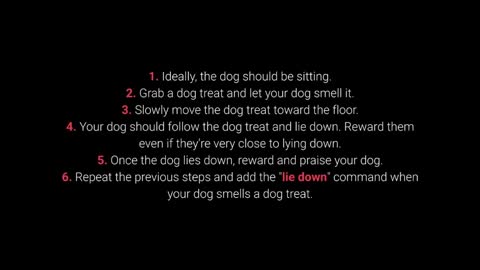 How teach your dog 10 tricks