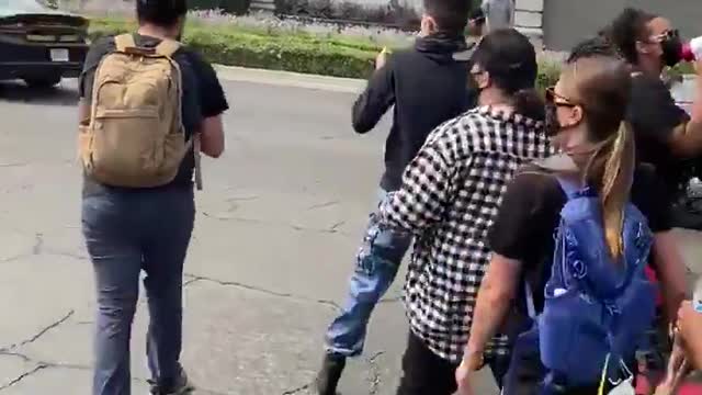 California protestor launches onto pavement after jumping on a fast-moving highway patrol car