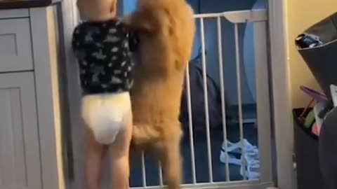 Baby & Fur Baby: The Cutest Playdate Ever!