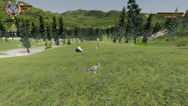 Wolfquest Let's Play special- Fan playthrough- Jalan 04