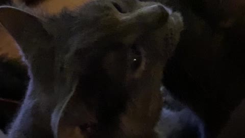 That’s what I call partnership