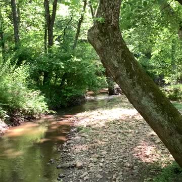 HOT on the Farm Today! Creek & Baby Chics, Good for the Soul!