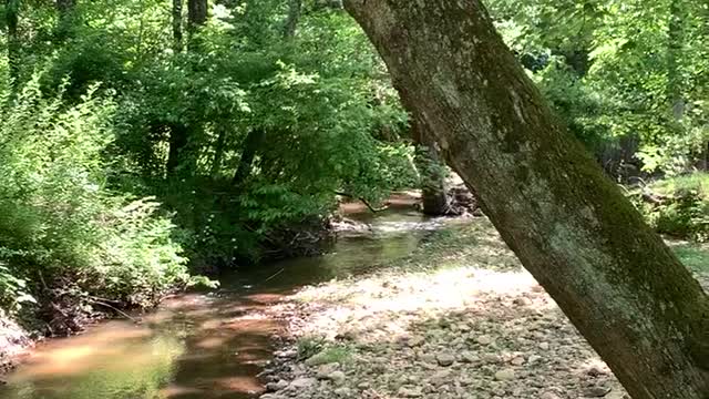 HOT on the Farm Today! Creek & Baby Chics, Good for the Soul!