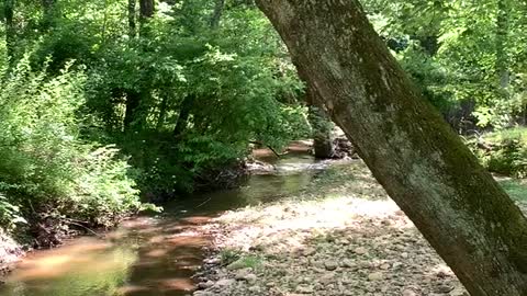 HOT on the Farm Today! Creek & Baby Chics, Good for the Soul!