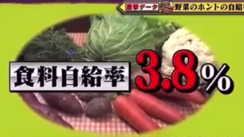 2023年 日本の食料自給率は？