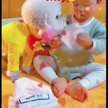 Cuddles or Paws What's the BEST Buddy for Your Baby?