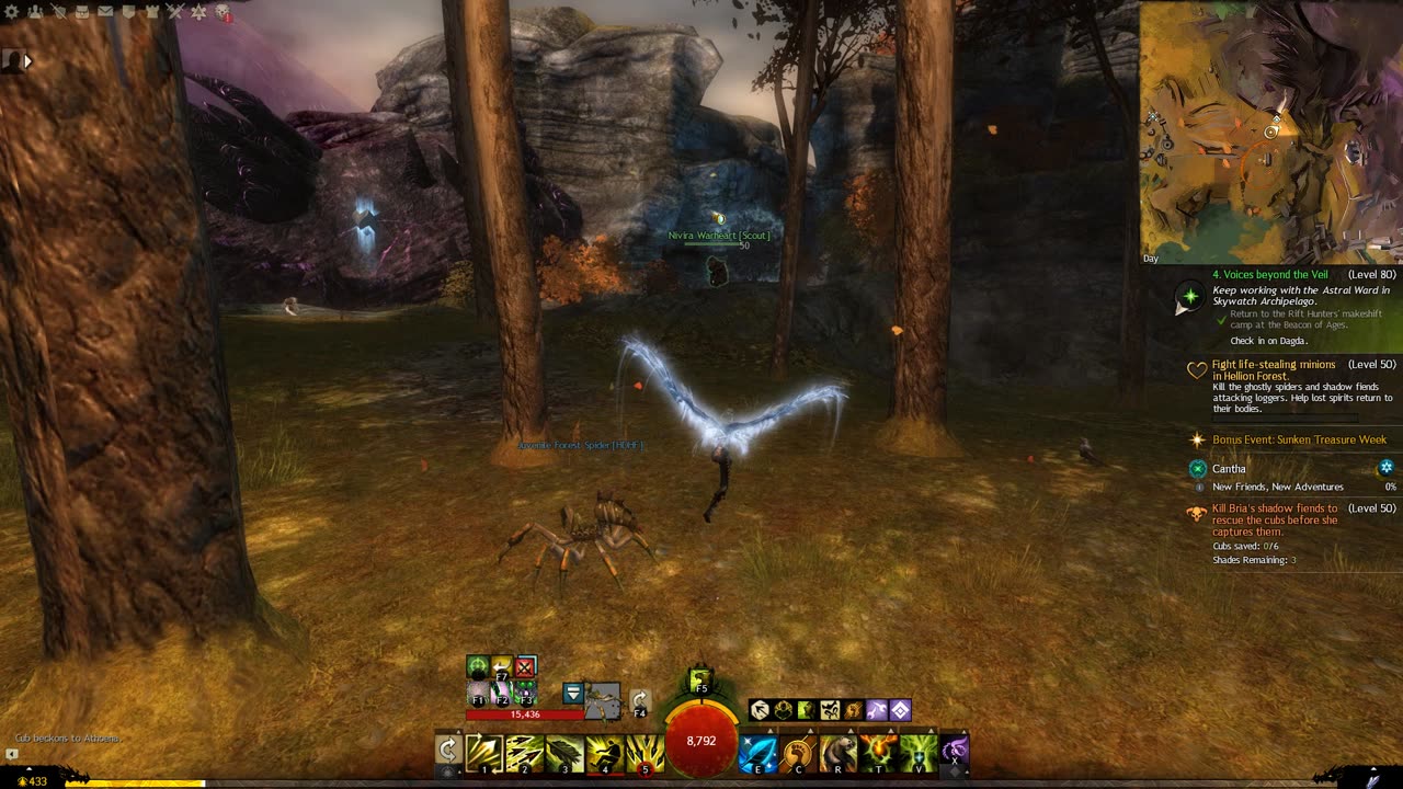 Gw2 - Ranger Juvenile Forest Spider Pet Location (Iron Marches)