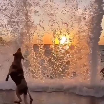 Sunset 🌅 views ❤️