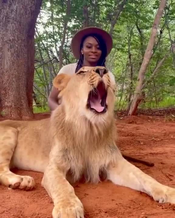 ###senegaltiktok #animeaux #francetiktok #Fitness#khabylame #monde