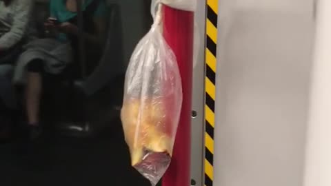 A bag with bitten apples on subway