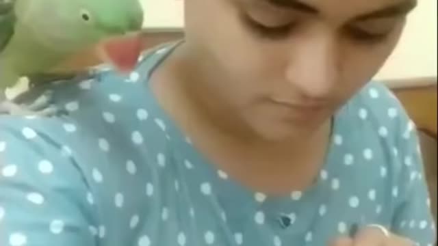 TWEETY'S INNER VOICE😂| EATING WITH PARROTS🐦 #takingparrots