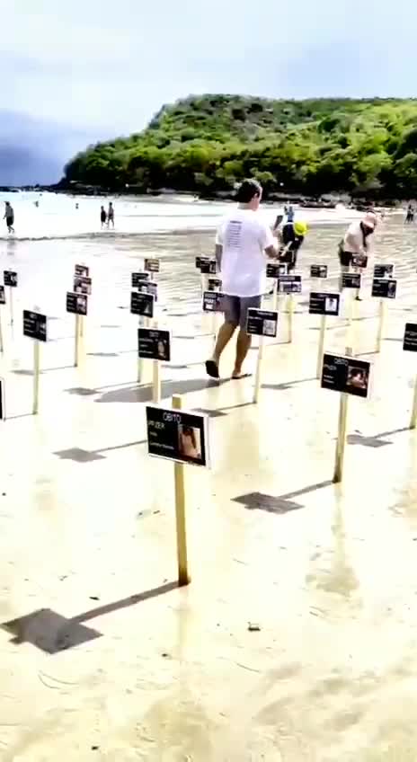 A vakcinázás következménye / The consequence of vaccination