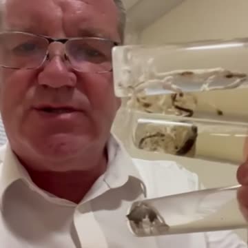 Funeral Director John O'Looney Talks About AstraZeneca and Deadly “Rare” Blood Clots