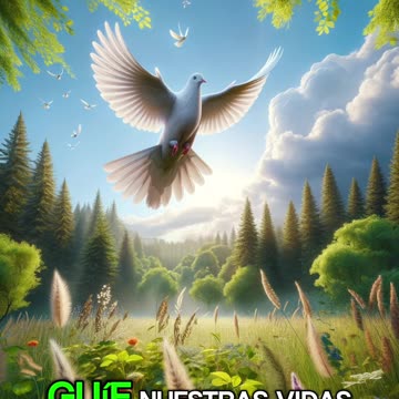 🙏✨Oración Inspirada en las Lecturas de Hoy ✨🙏