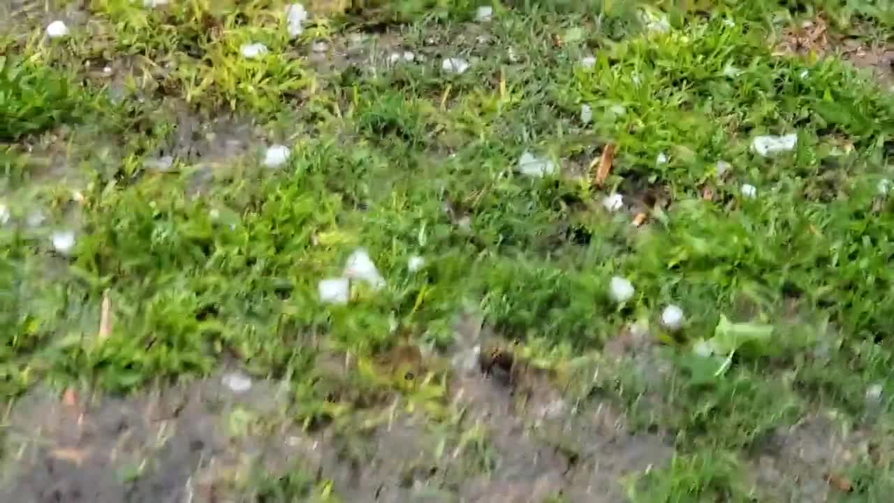 Storm Dumps Golf Ball Size Hail in Trinity Texas