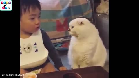 cute baby and a cat - A baby and a cat play extremely funny