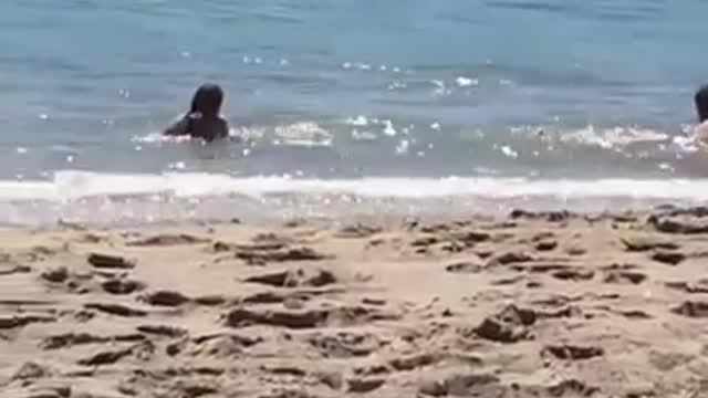 Funny Beach Fails