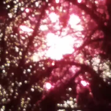 Salute in the middle of the night