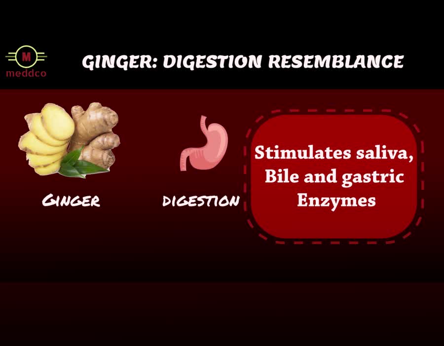 THE RESEMBLANCE OF FOOD